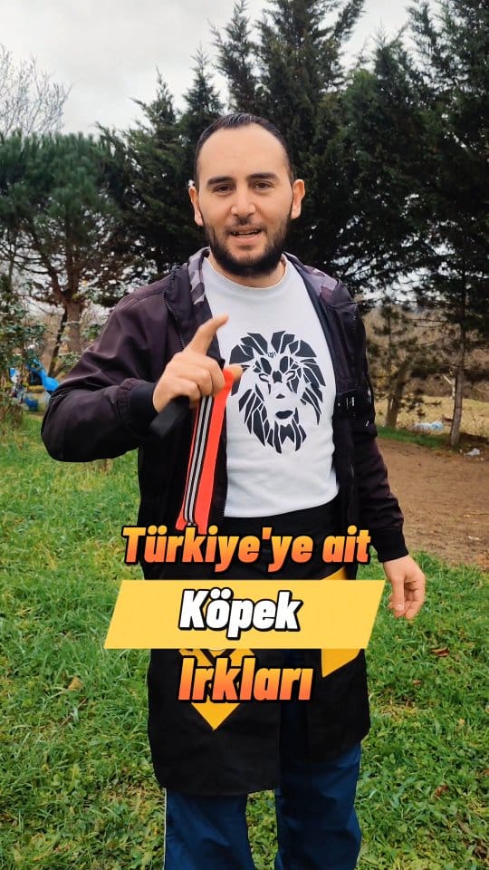 Post 10 by Anıl HARTAMACI on Instagram (video)