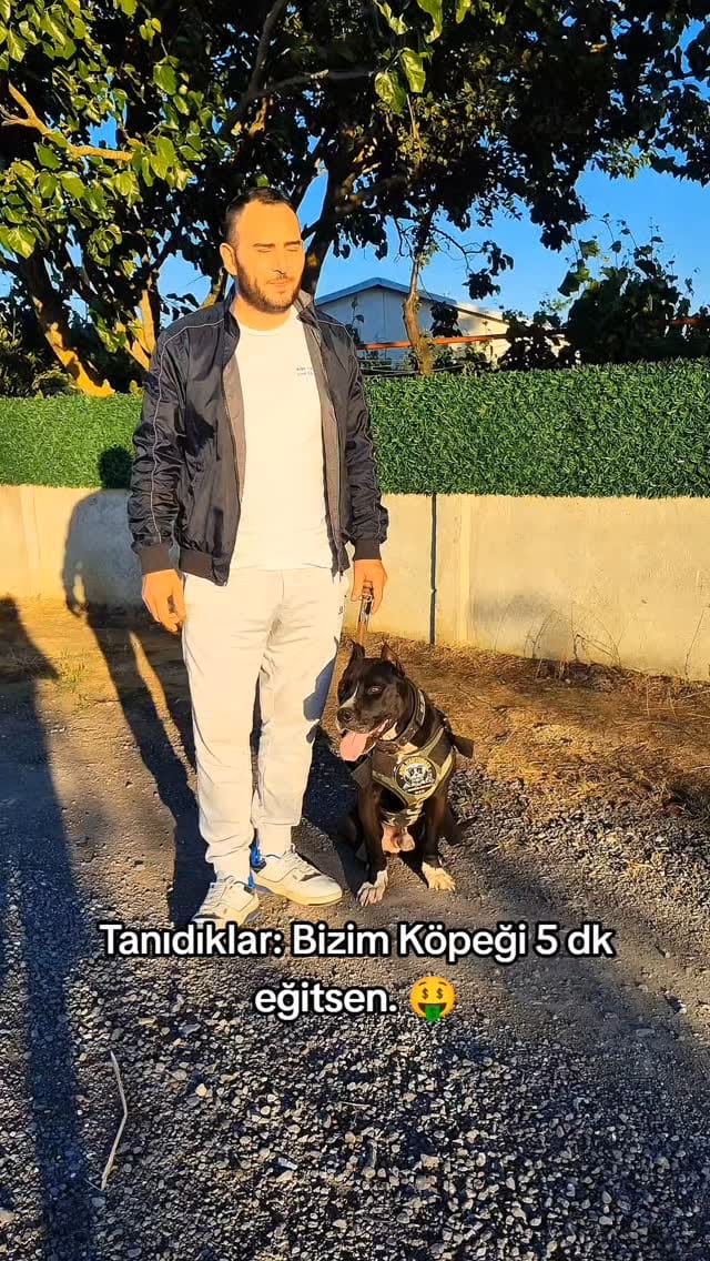 Post 2 by Anıl HARTAMACI on Instagram (video)
