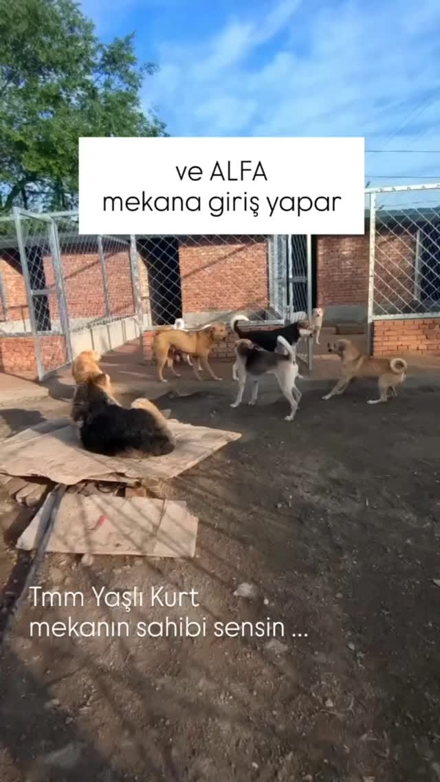 Post 6 by Anıl HARTAMACI on Instagram (video)