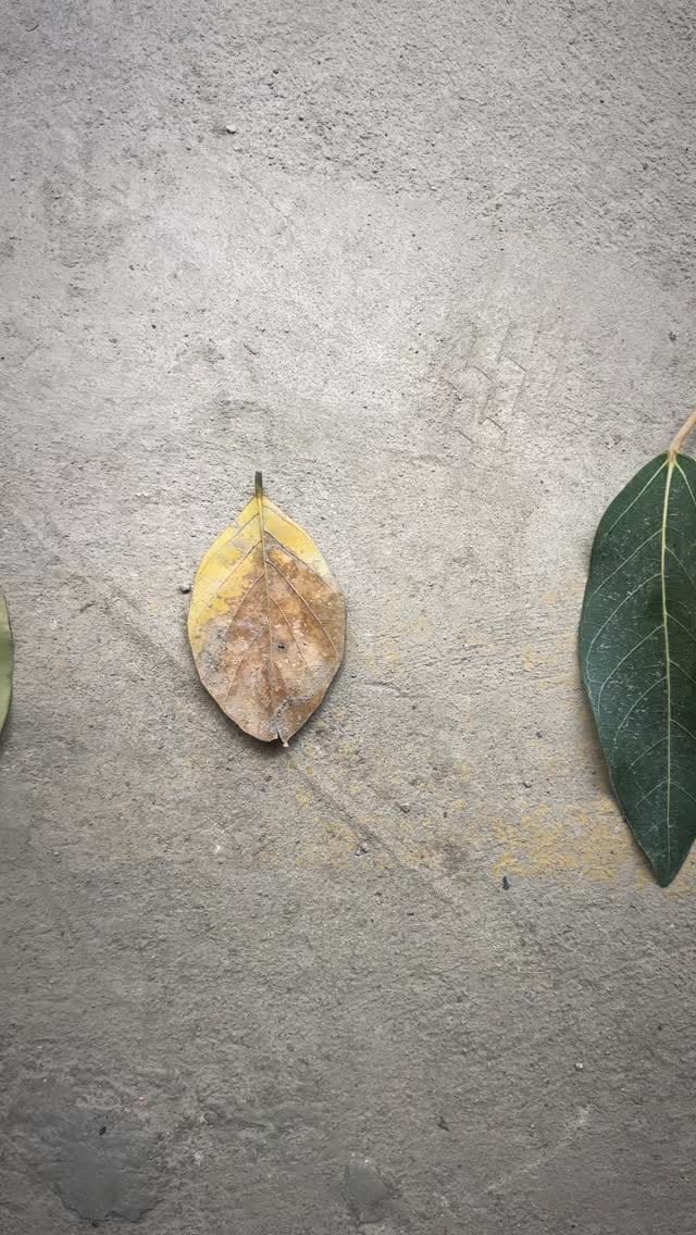 Post 3 by Praveen | Noticing Life on Instagram (video)