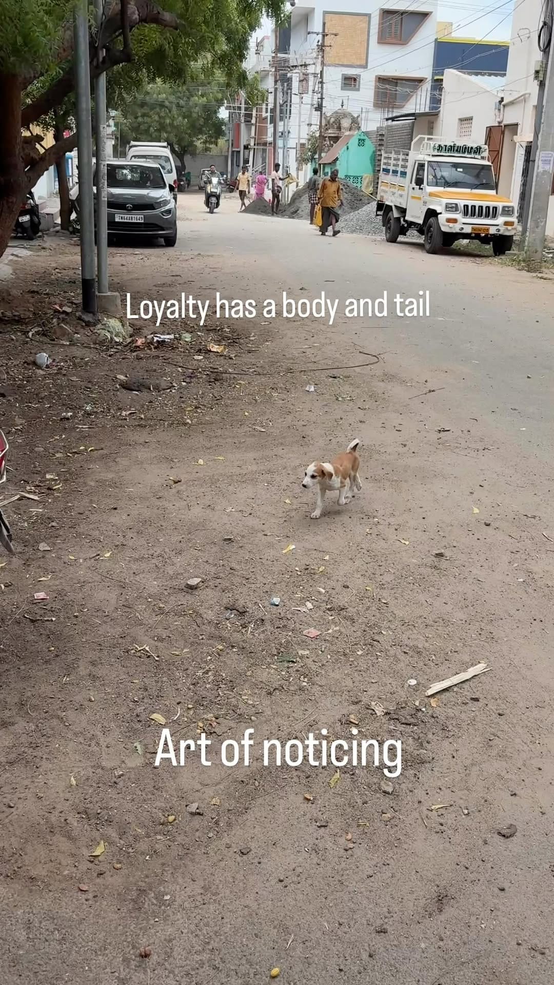 Post 9 by Praveen | Noticing Life on Instagram (video)