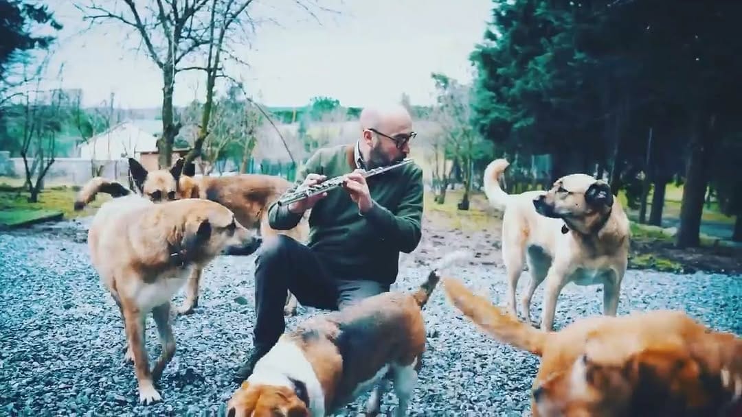 Post 10 by Mert Akkök on Instagram (video)