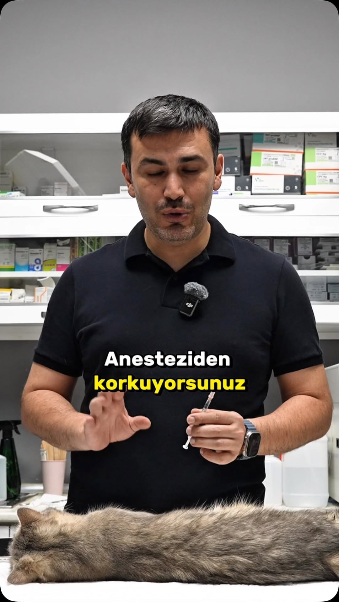 Post 7 by Ece & Onur | Candan Bir Aile on Instagram (video)