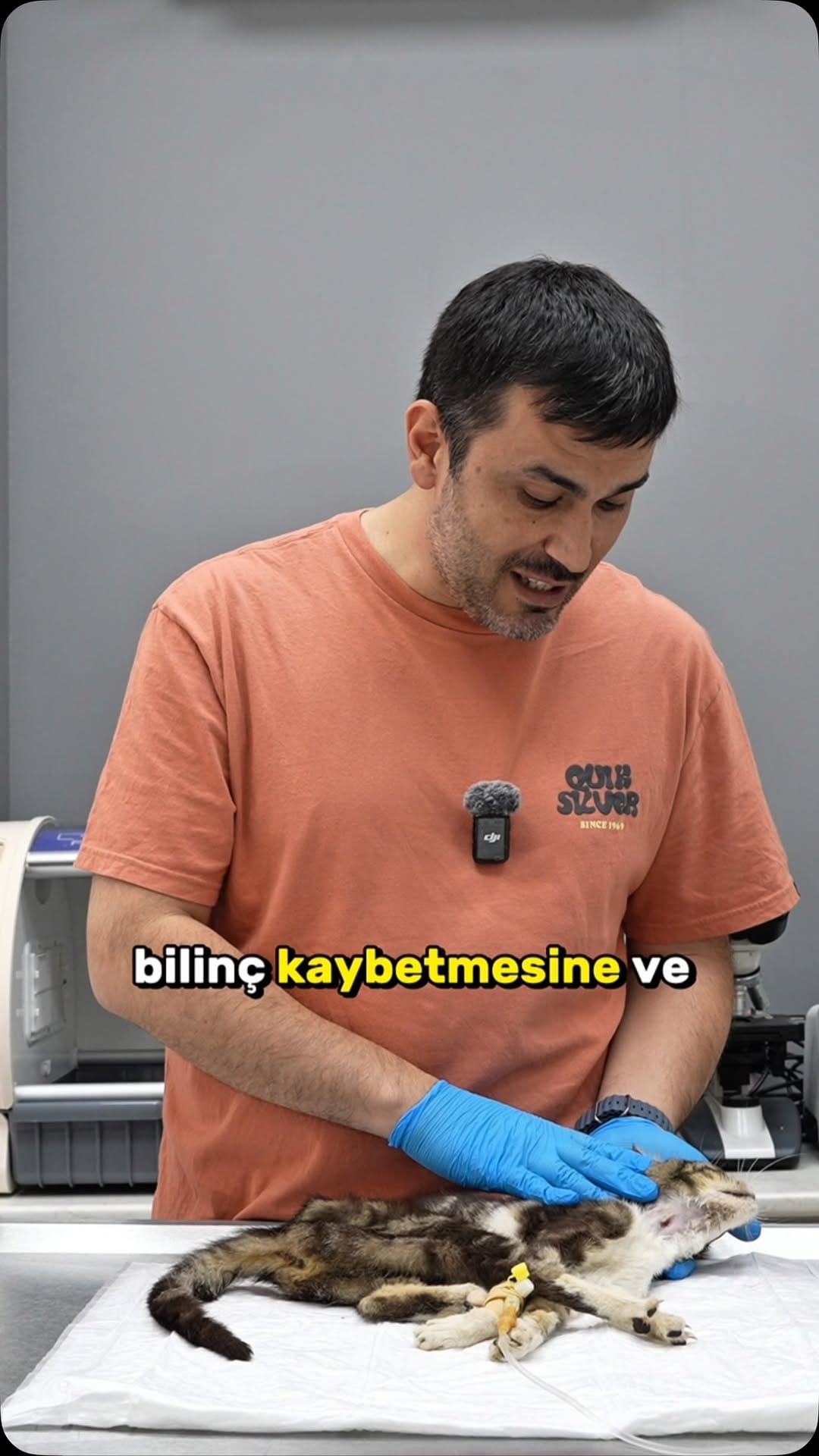Post 6 by Ece & Onur | Candan Bir Aile on Instagram (video)