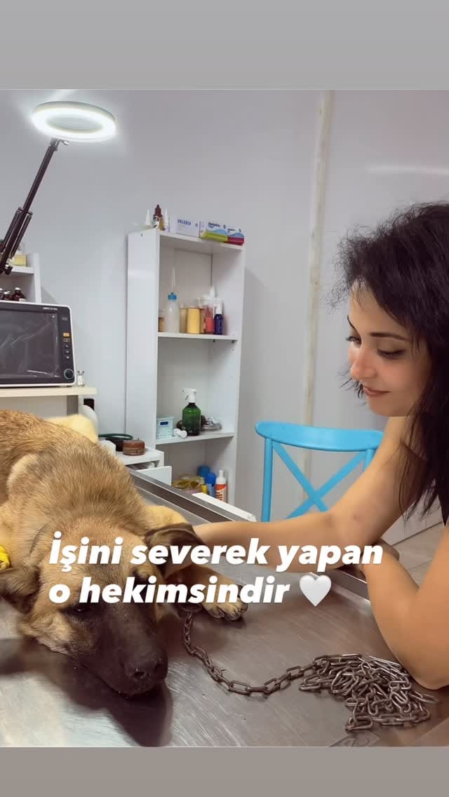 Post 1 by Bir Hekim Tavsiyesi 🐾💉 on Instagram (video)
