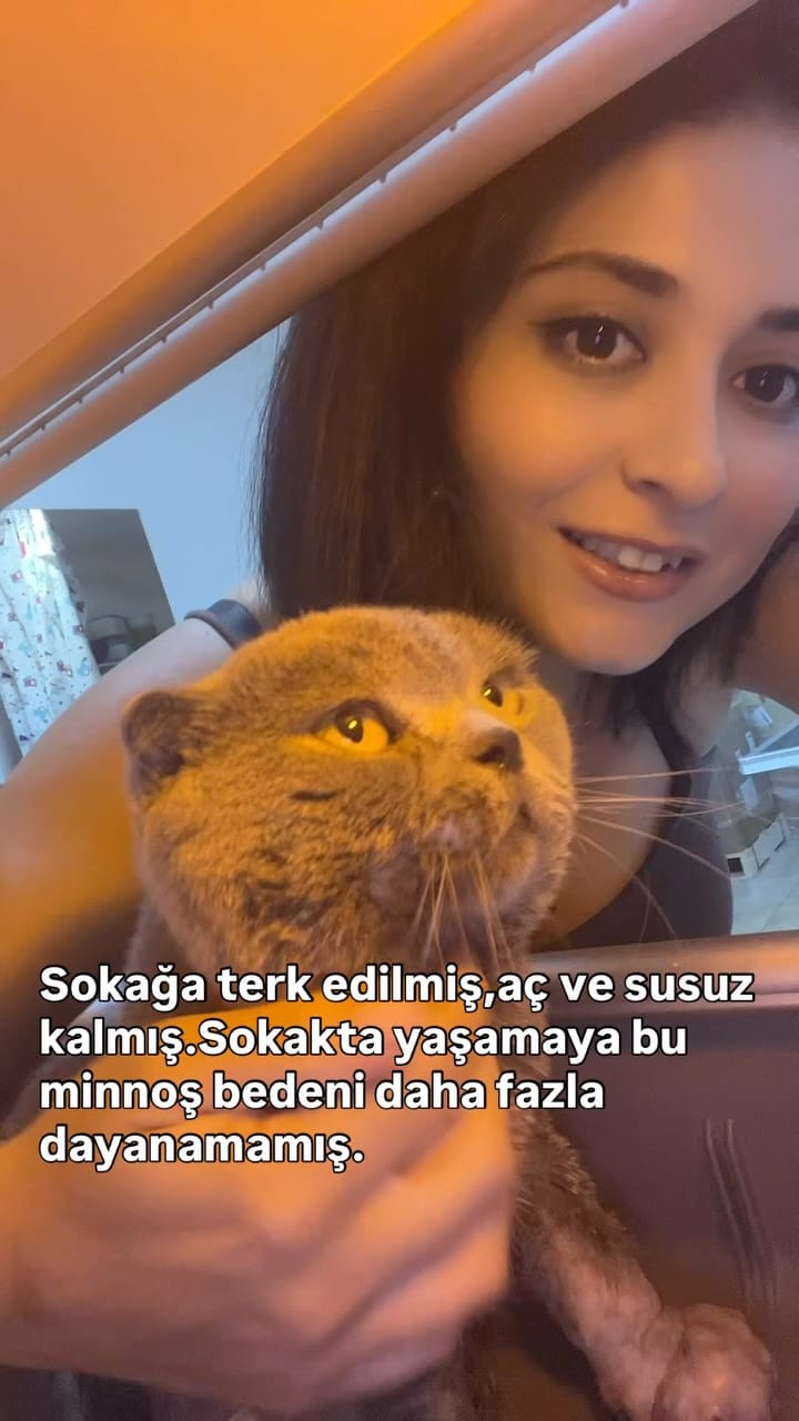 Post 8 by Bir Hekim Tavsiyesi 🐾💉 on Instagram (video)