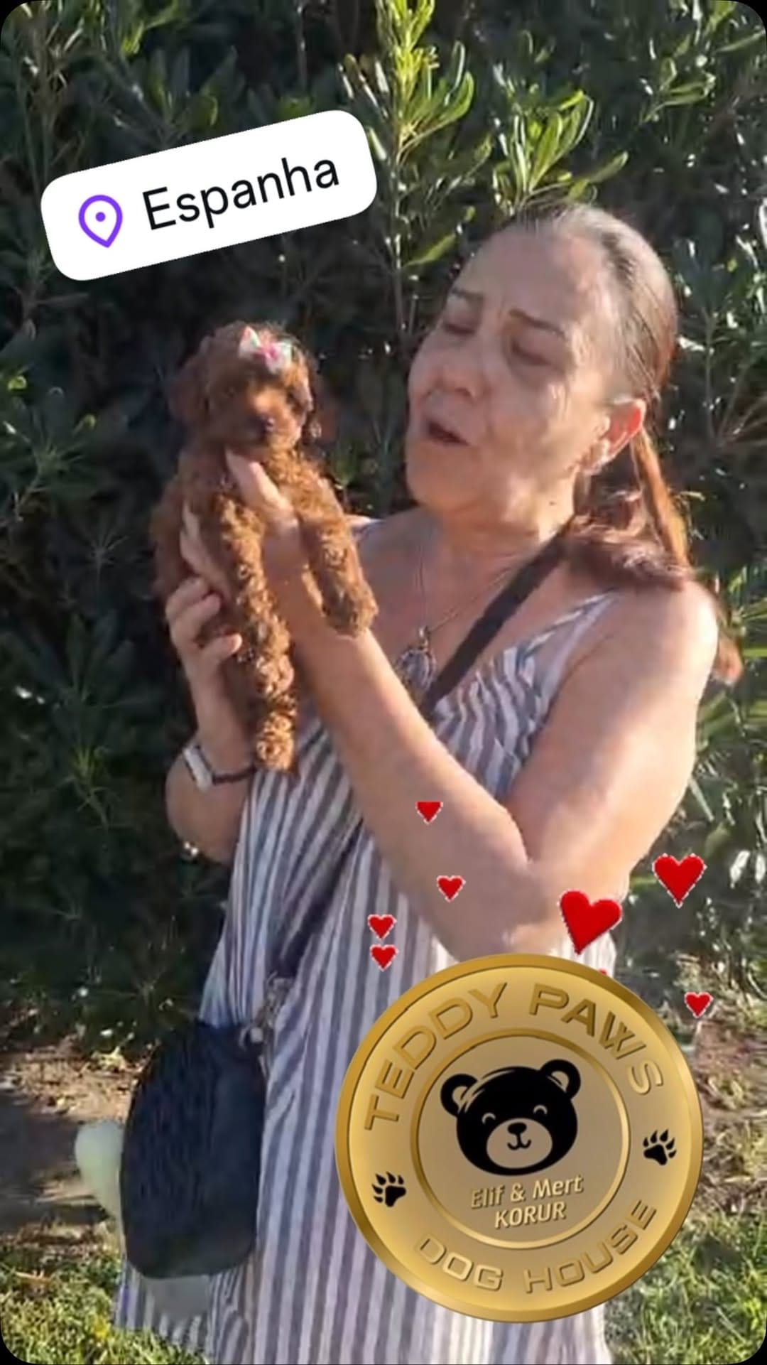 Post 1 by Elif Mert Korur on Instagram (video)