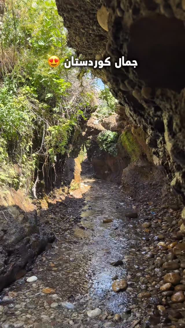 Post 3 by سيف الحجازي | Saif Hijazi on Instagram (video)