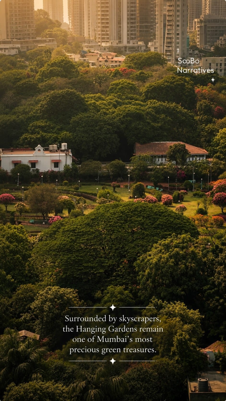 Post 8 by Rajivi Pujari on Instagram (video)