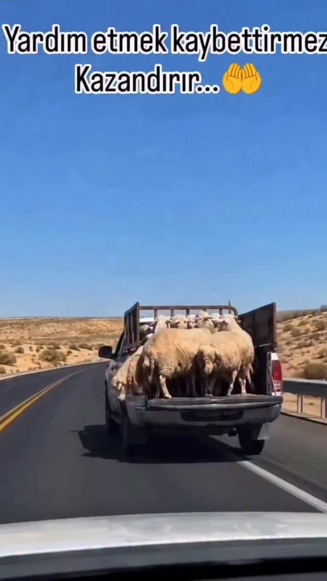 Post 2 by Mustafa Taşkıran on Instagram (video)