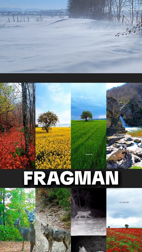 Post 5 by Ferhat Usta on Instagram (video)
