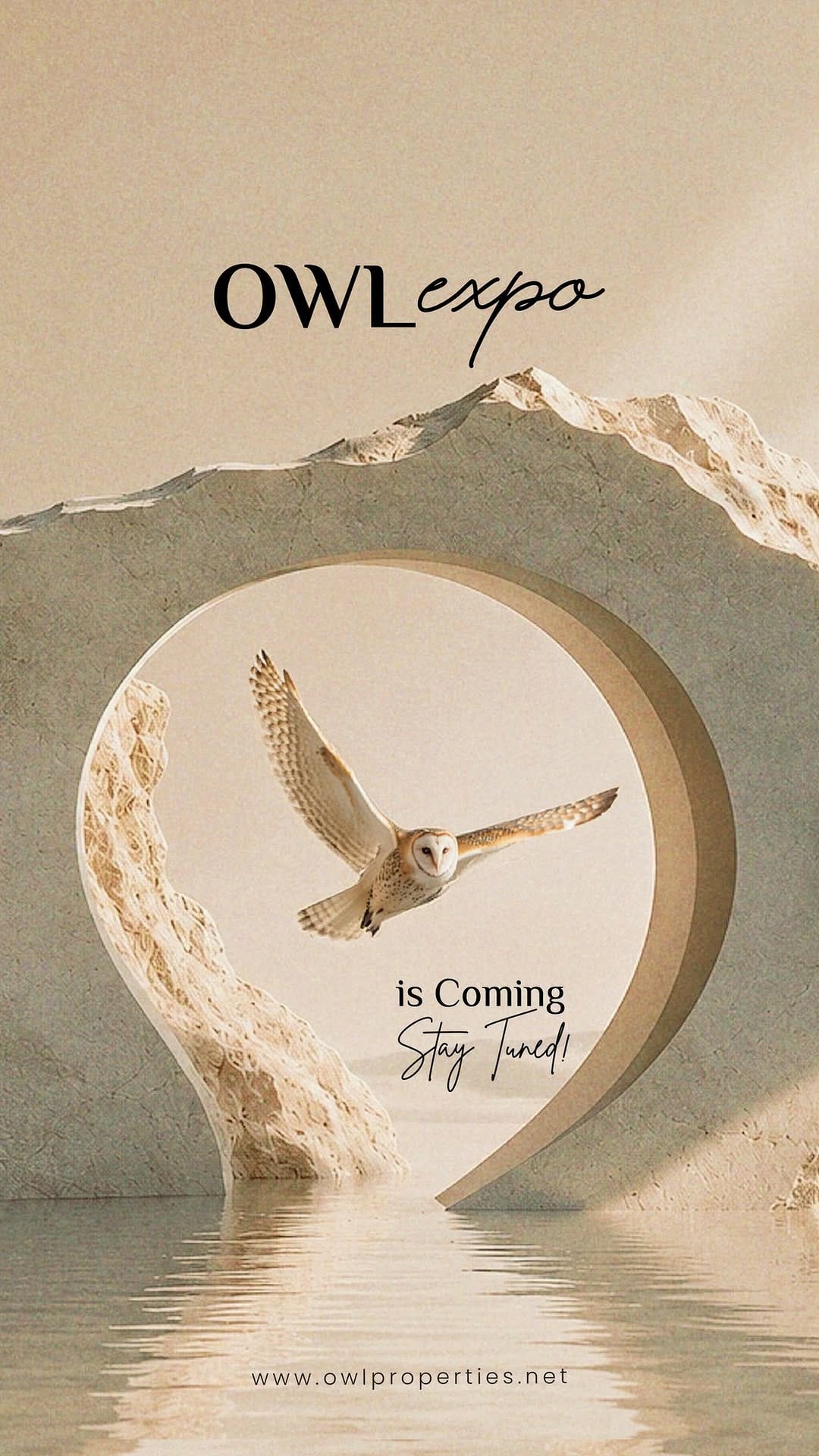 Post 2 by Owl on Instagram (video)