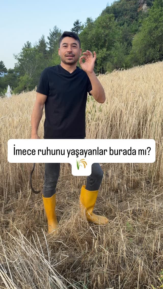 Post 10 by Onur Çinar on Instagram (video)