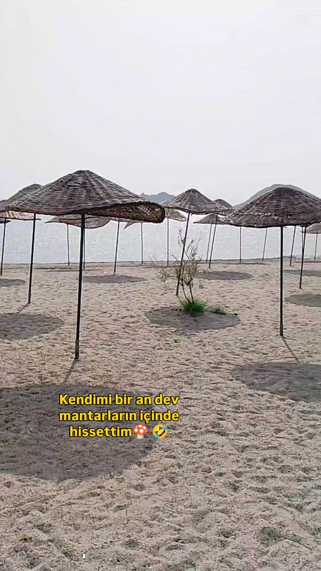 Post 2 by rotamızmuğla on Instagram (video)
