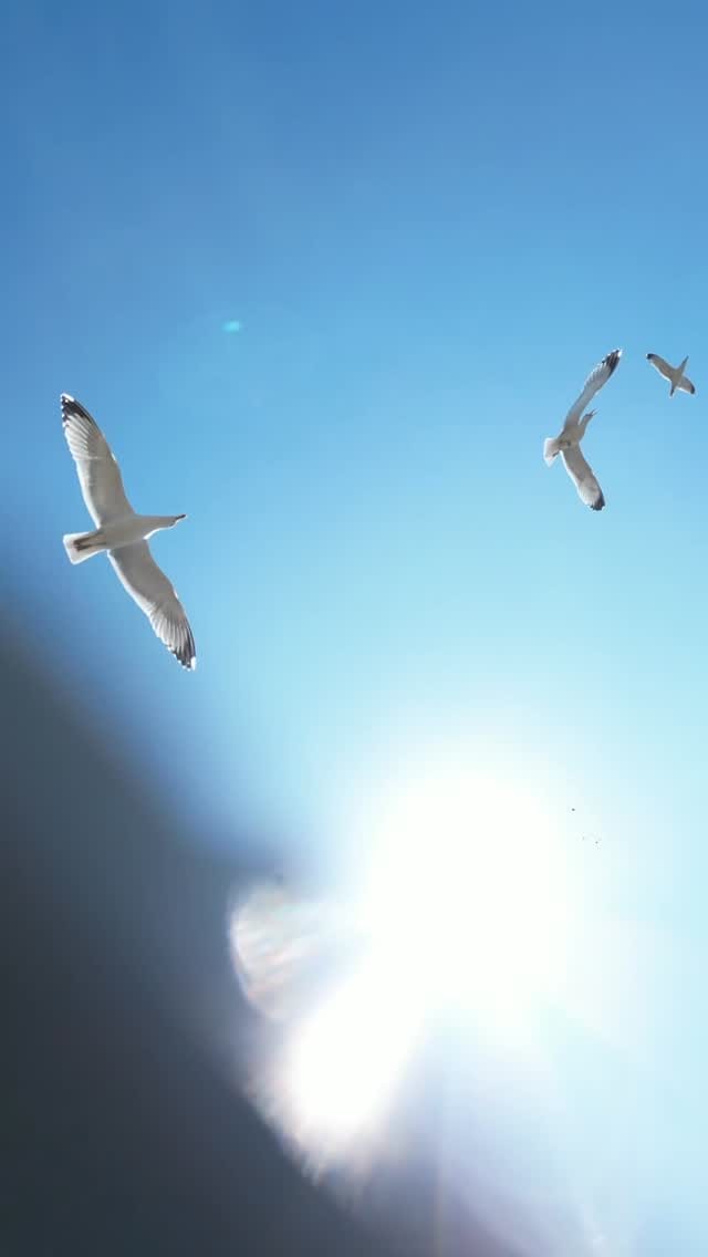 Post 5 by Drone Çekimleri on Instagram (video)
