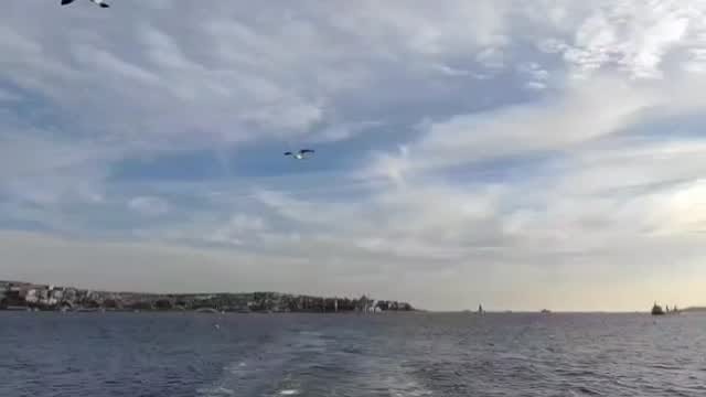 Post 1 by Nermin Odabas on Instagram (video)