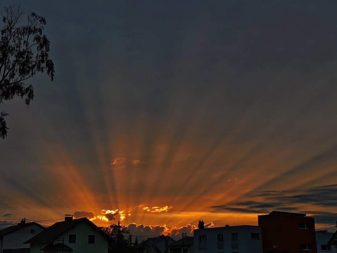 Post 3 by Nermin Odabas on Instagram (image)