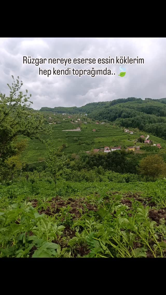 Post 2 by Özgür Yılmaz on Instagram (video)