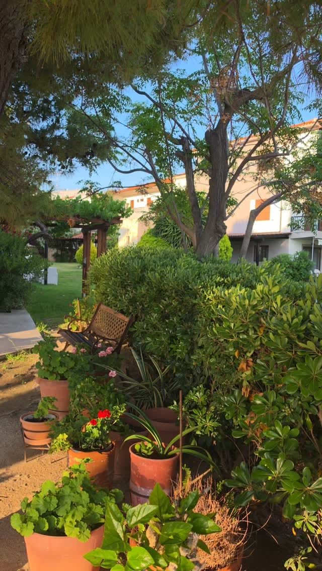 Post 2 by Adar on Instagram (video)