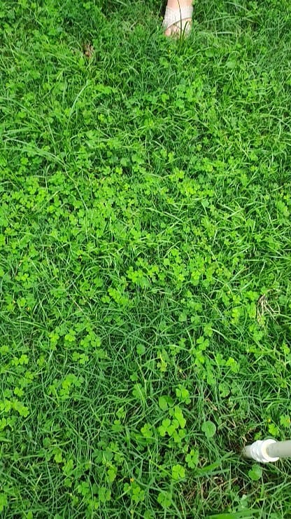 Post 9 by #DENIZஒளிபதிவாளான் on Instagram (video)