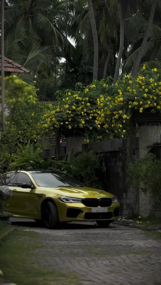 Post 6 by Mᴏᴅɪғɪᴇᴅ Nᴀᴛɪᴏɴ [MN™] on Instagram (video)