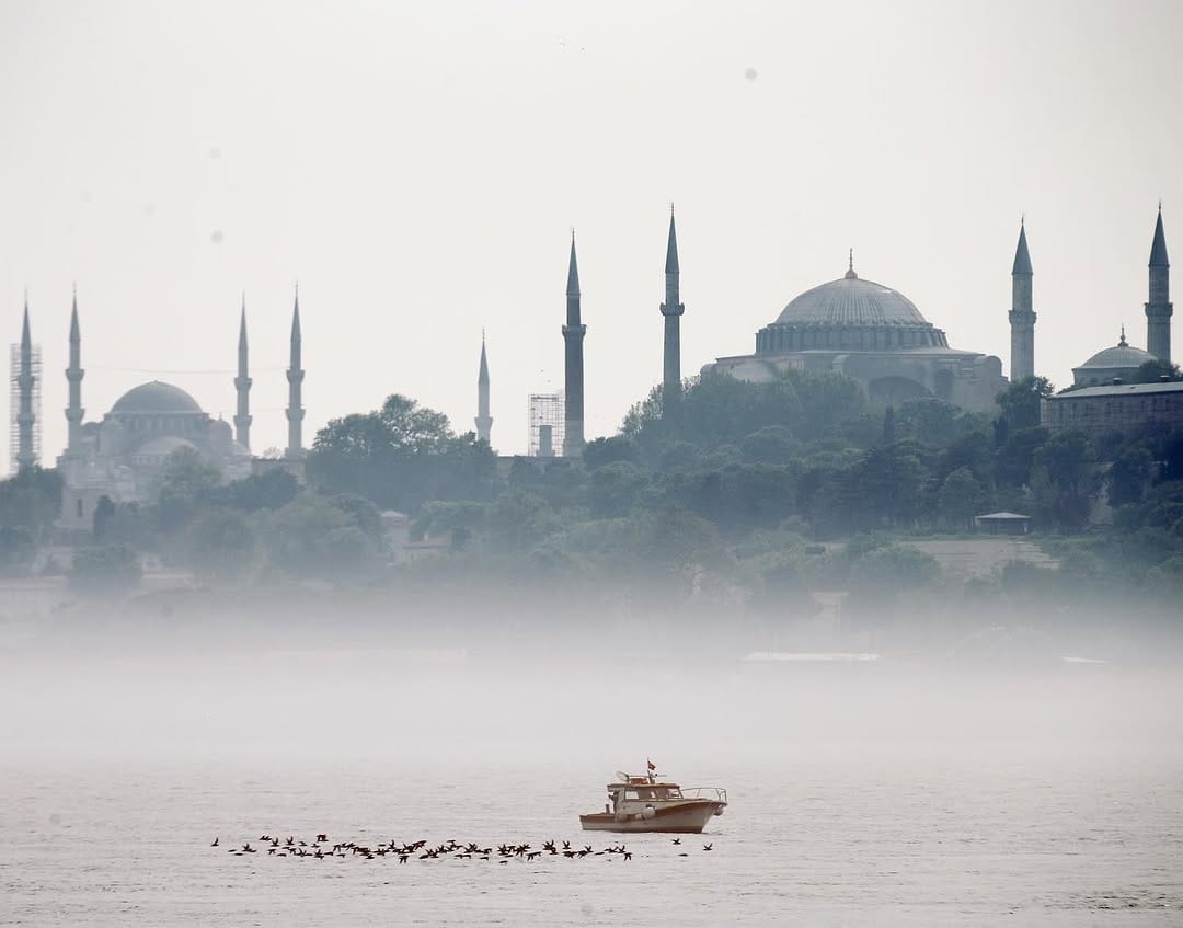 Post 10 by Erhan Sevenler on Instagram (image)