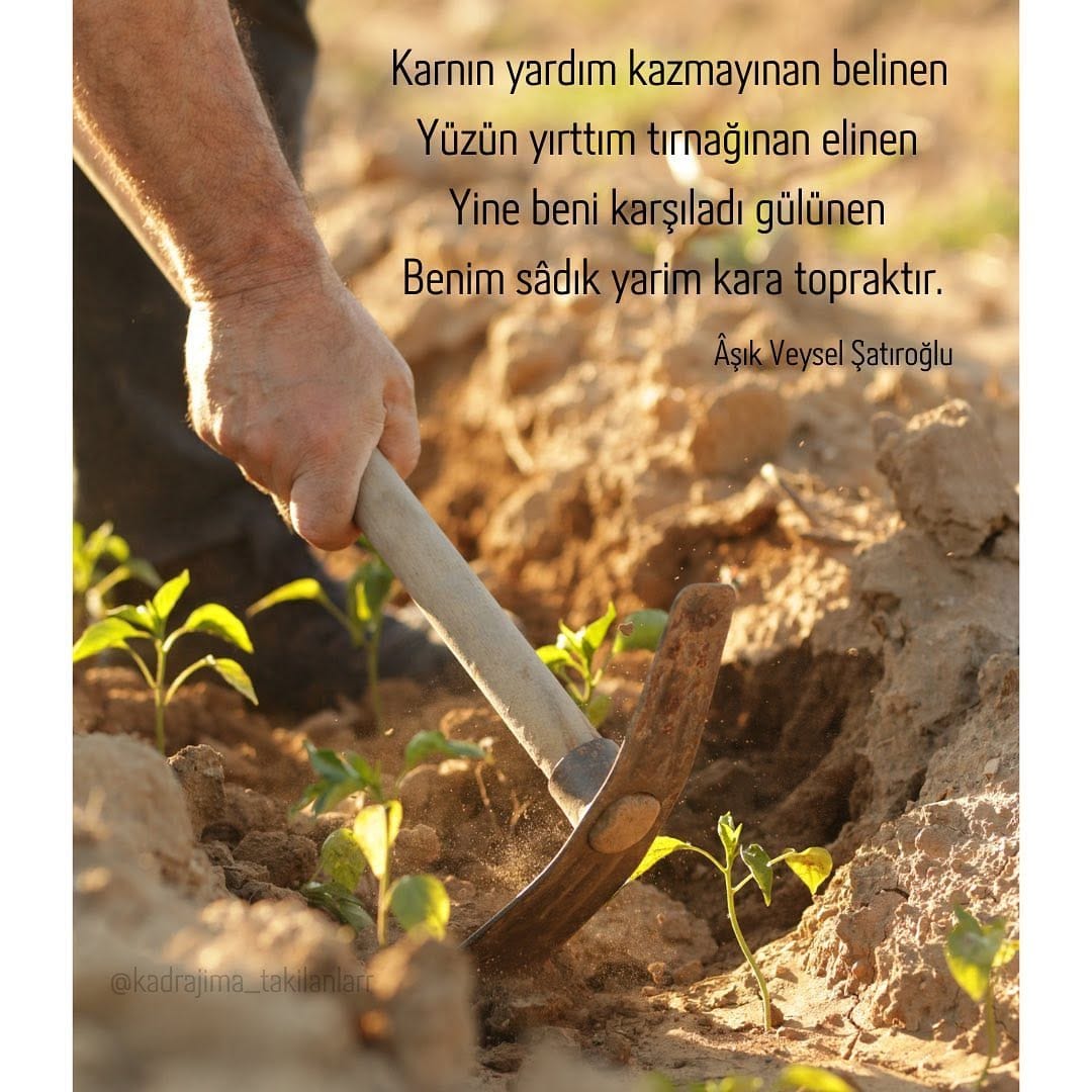 Post 7 by Kadrajımatakılanlar on Instagram (image)