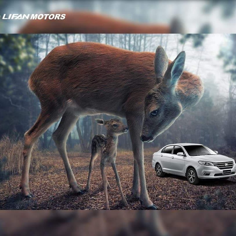 Post 8 by Lifan Motors Global on Instagram (image)