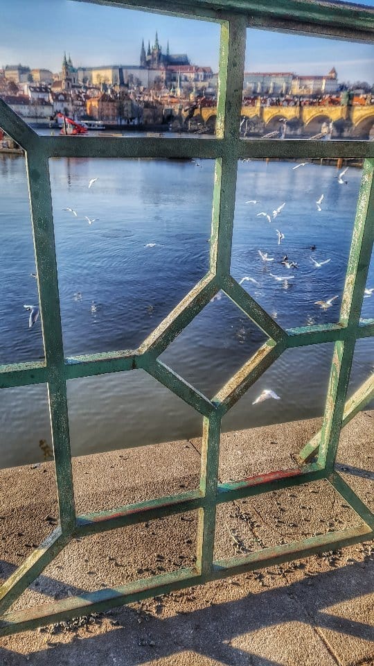 Post 8 by MCarmen Meca on Instagram (video)