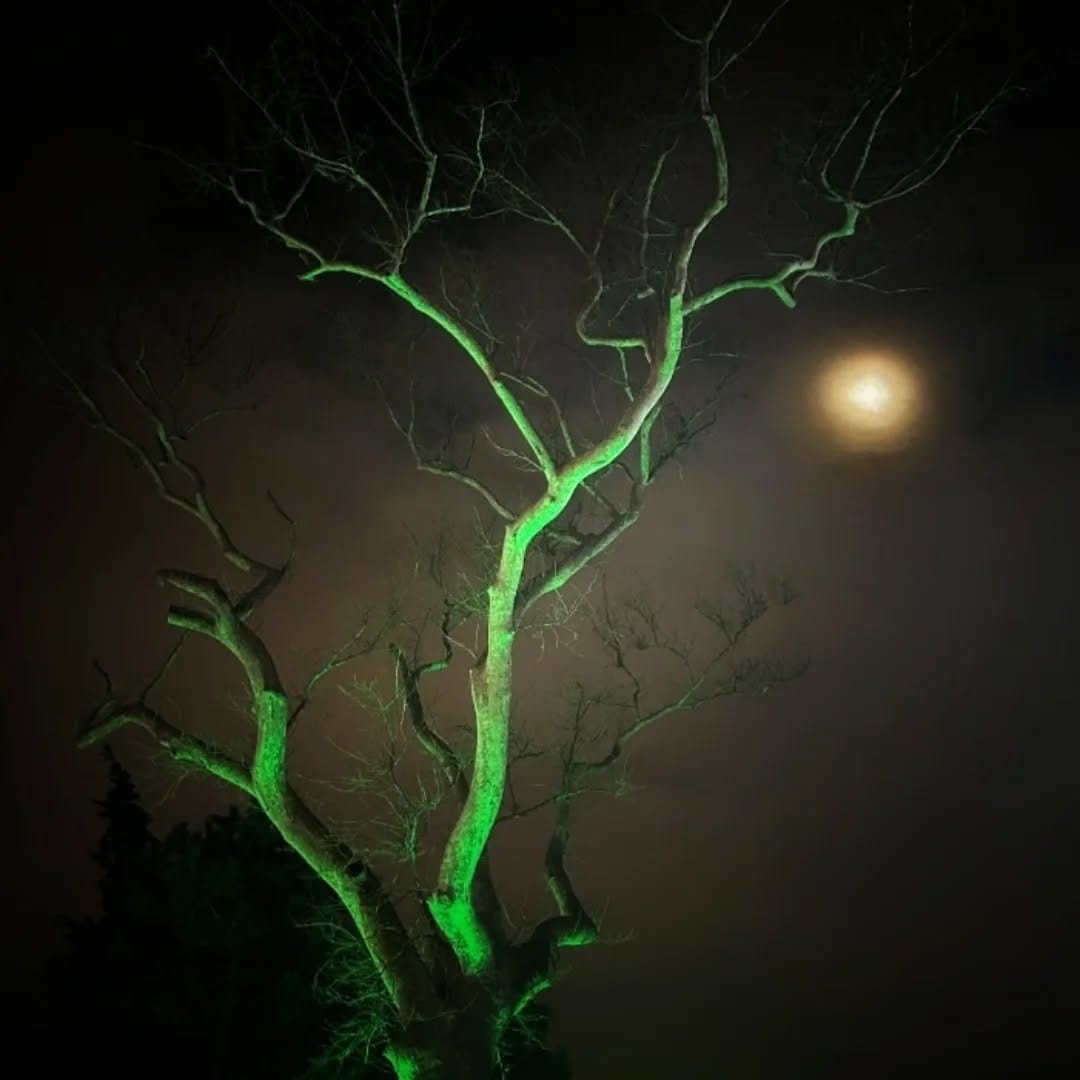Post 9 by Hasan Uzun on Instagram (image)