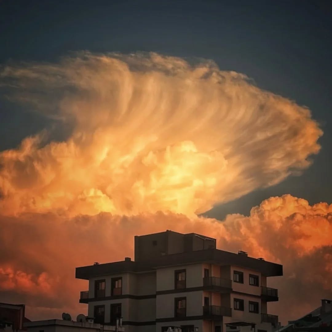 Post 5 by Hasan Uzun on Instagram (image)