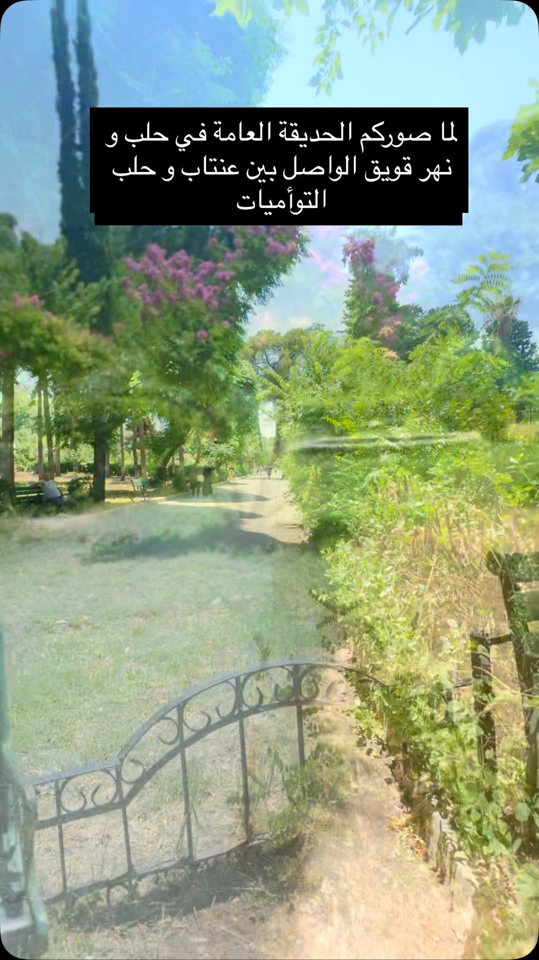 Post 4 by diana khanji on Instagram (video)