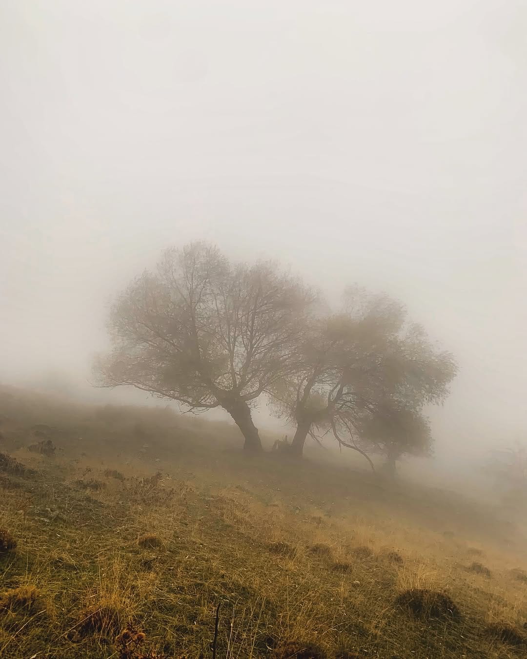 Post 6 by Emrah on Instagram (image)