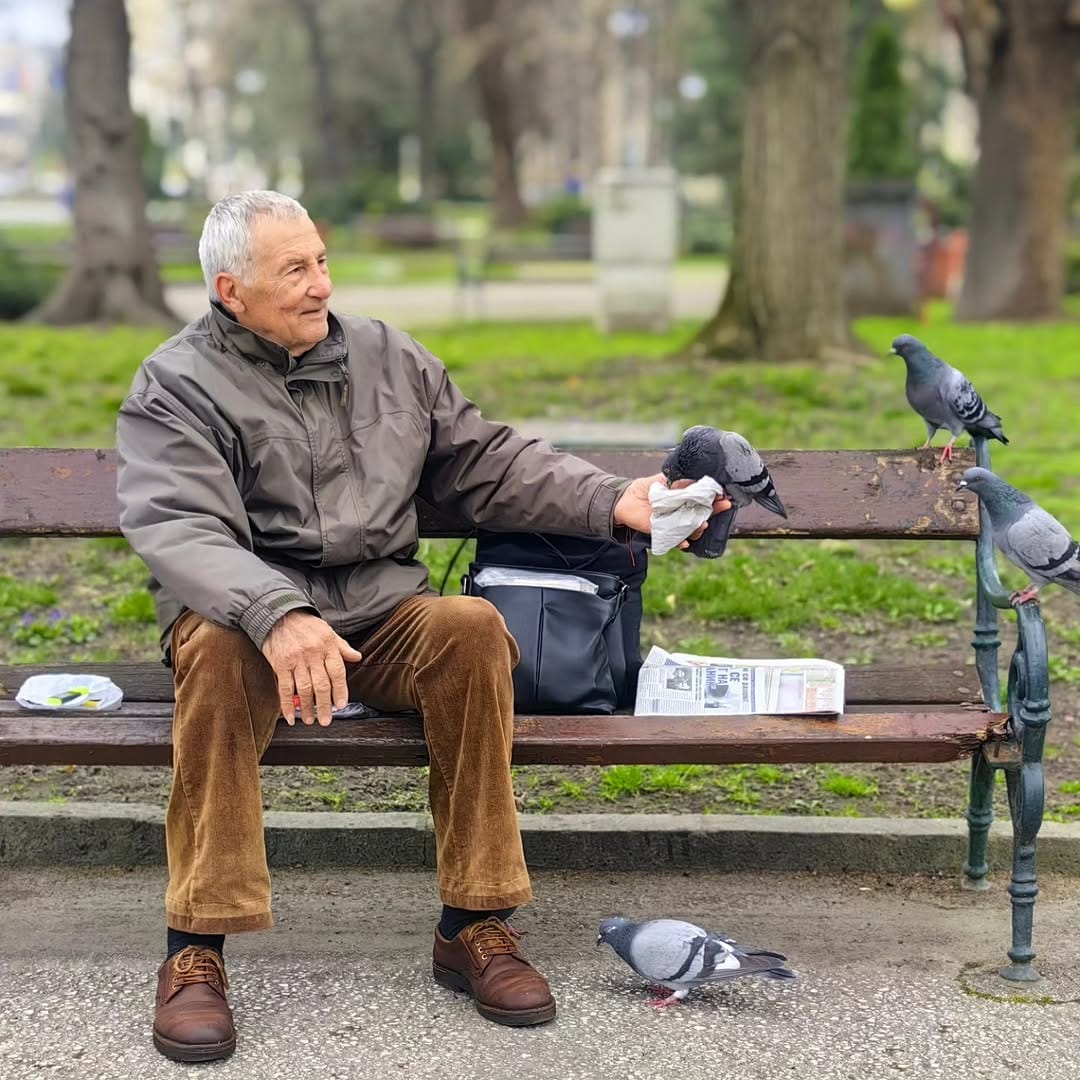 Post 5 by Gülhan Köken on Instagram (image)