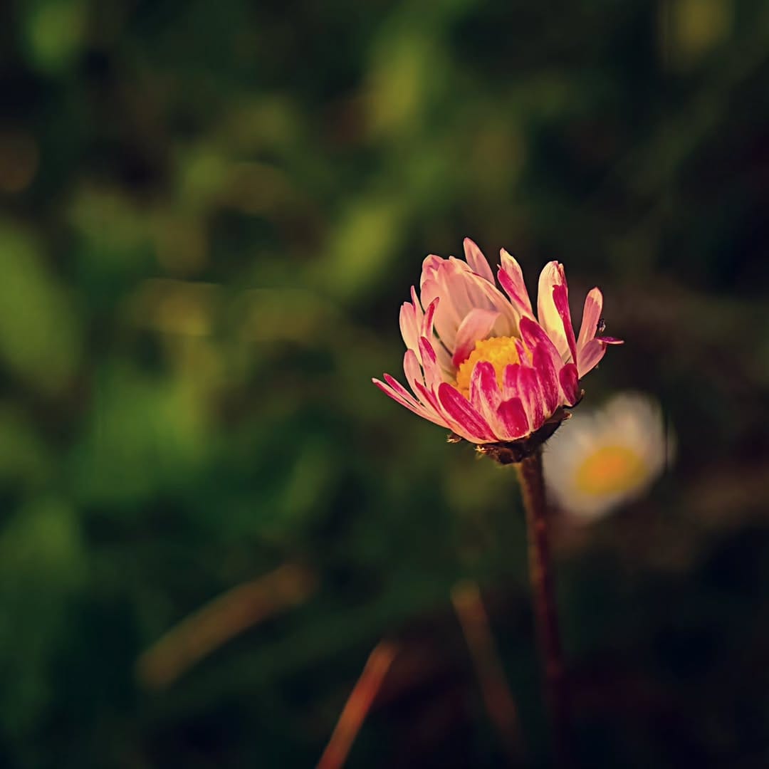 Post 5 by Sinan on Instagram (image)