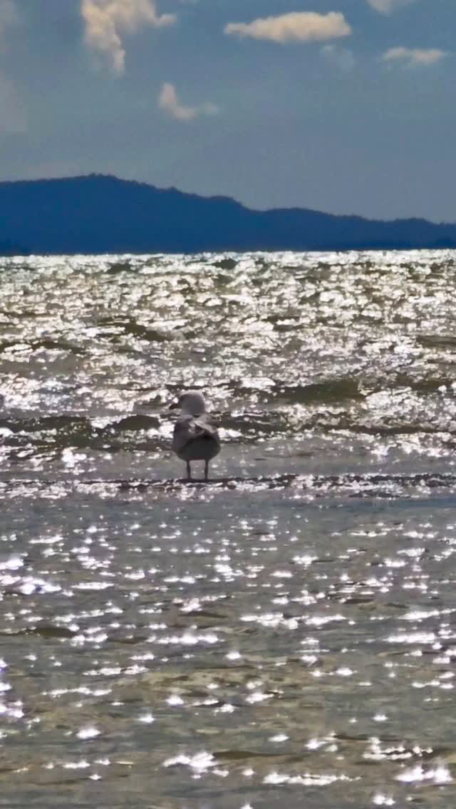 Post 4 by Sinan on Instagram (video)