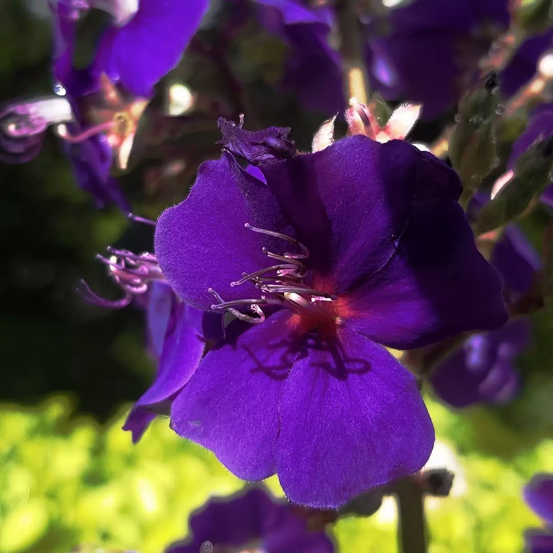 Post 9 by billsray joj on Instagram (image)