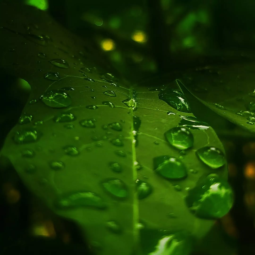 Post 5 by billsray joj on Instagram (image)