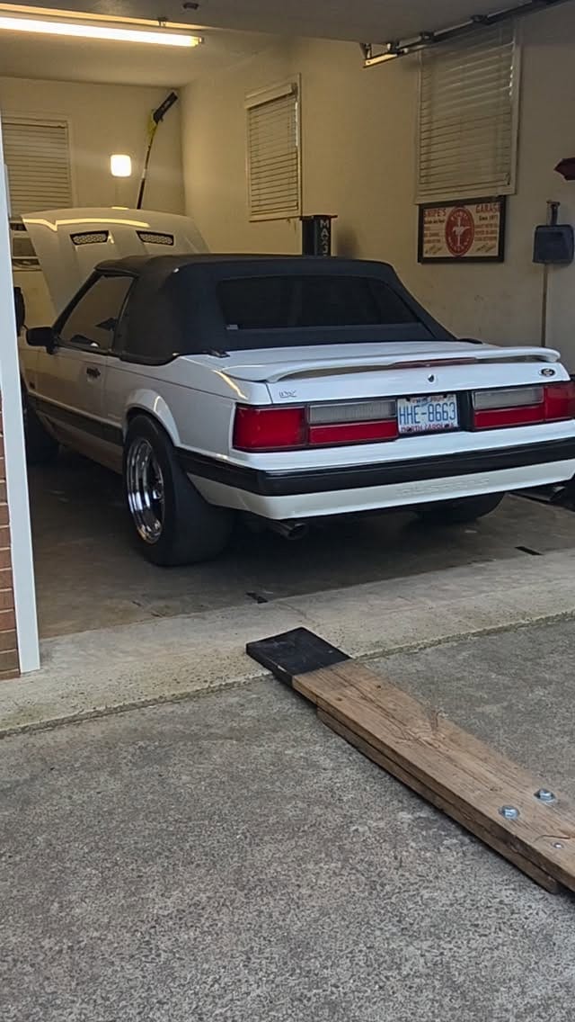 Post 6 by Mr. Snipes on Instagram (video)