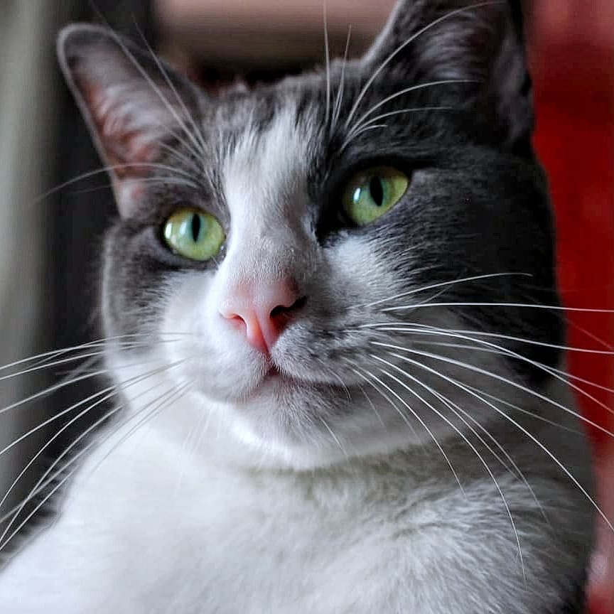 Post 10 by B E S 🐱 ♂️ on Instagram (image)