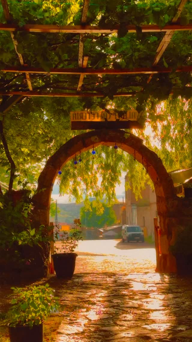 Post 5 by Emine Çavuş on Instagram (video)