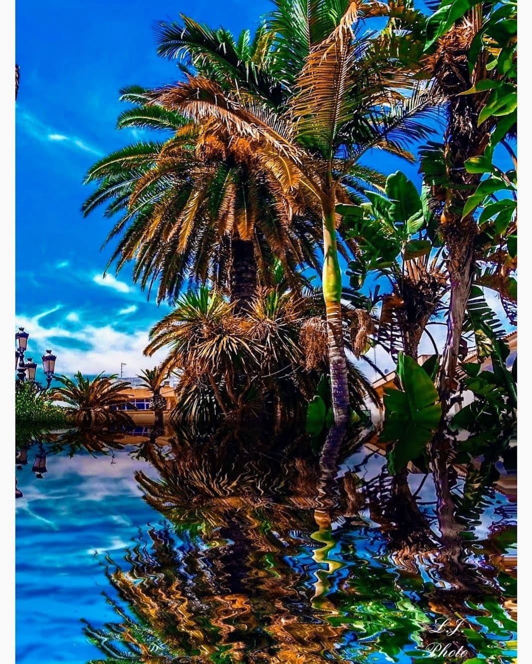 Post 4 by Luis Jacinto on Instagram (image)