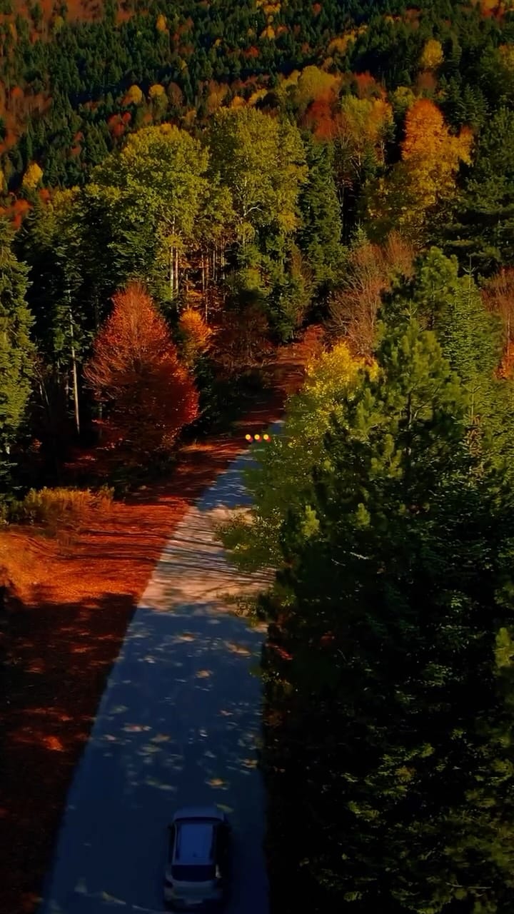 Post 9 by Enes Dalgakiran on Instagram (video)