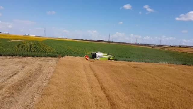 Post 5 by Ulukan Tarım & Hayvancılık🌻🌾. on Instagram (video)