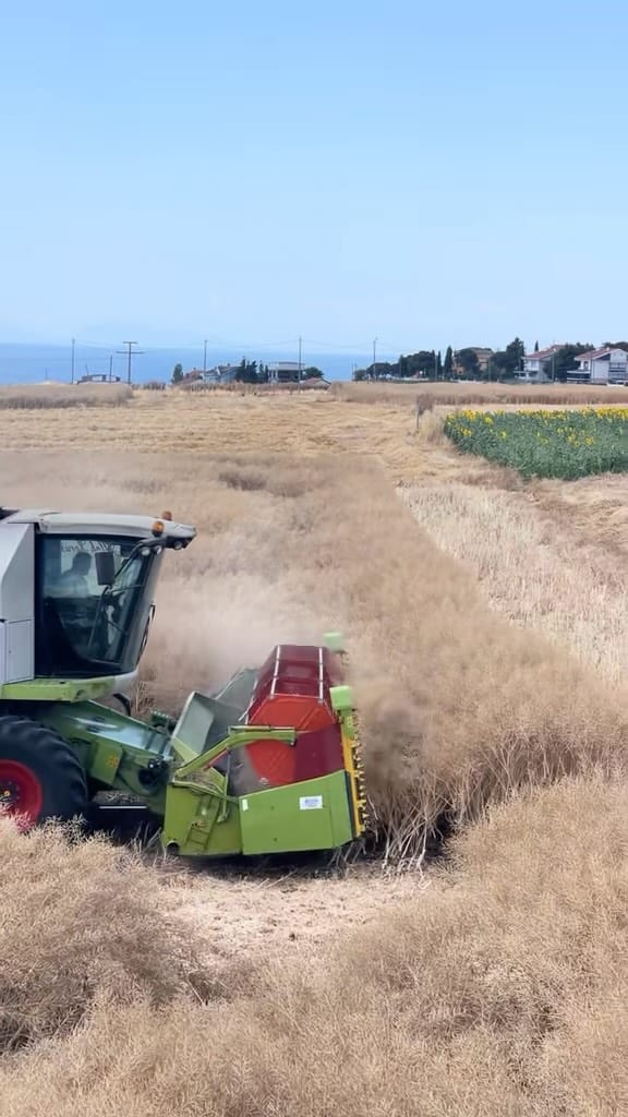 Post 4 by Ulukan Tarım & Hayvancılık🌻🌾. on Instagram (video)