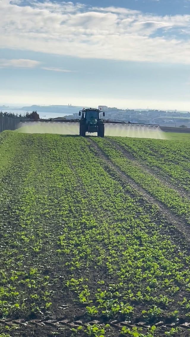 Post 8 by Ulukan Tarım & Hayvancılık🌻🌾. on Instagram (video)