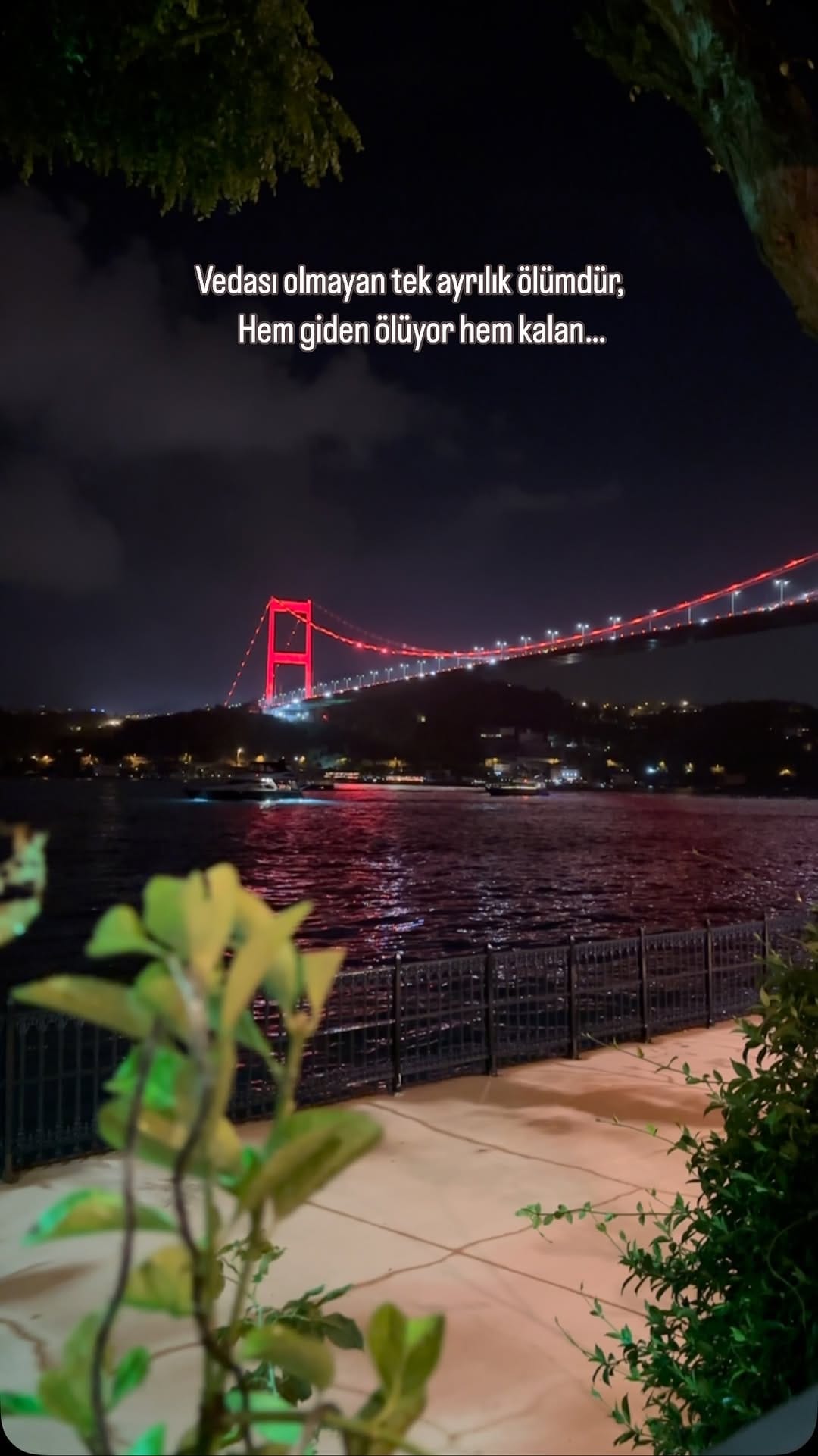 Post 1 by Doğanın Yüzü on Instagram (video)
