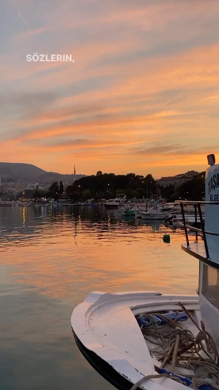 Post 10 by Doğanın Yüzü on Instagram (video)