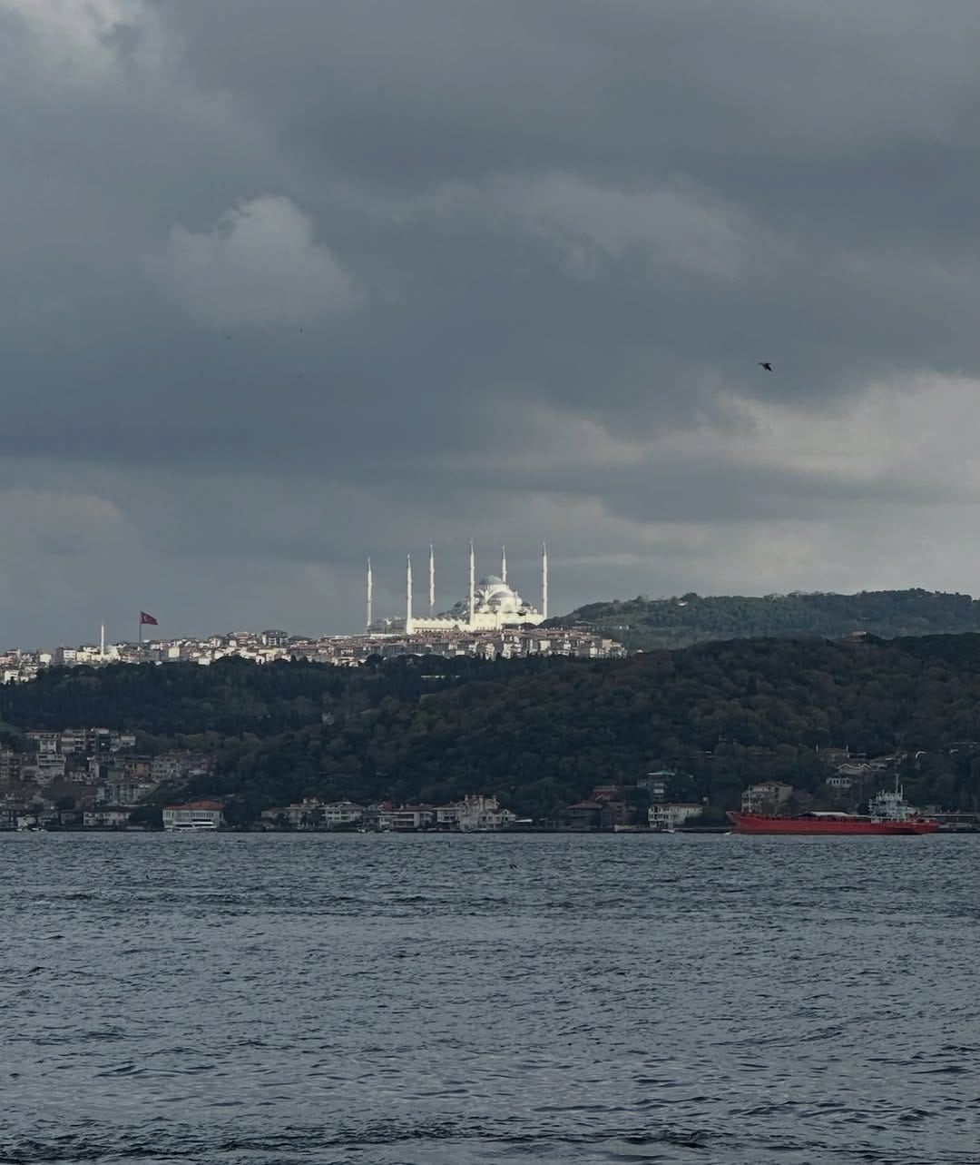 Post 10 by Davud/ Davut Bektaş داودبَكتاش on Instagram (image)