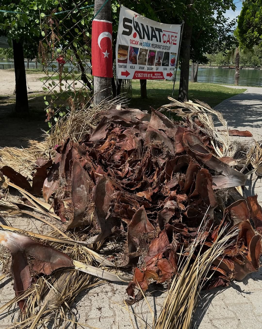 Post 2 by Davud/ Davut Bektaş داودبَكتاش on Instagram (image)